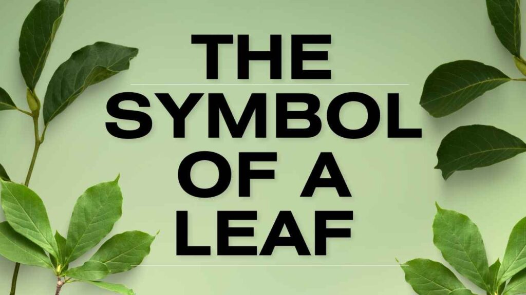 Symbol of a Leaf
