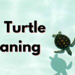 Sea Turtle Meaning