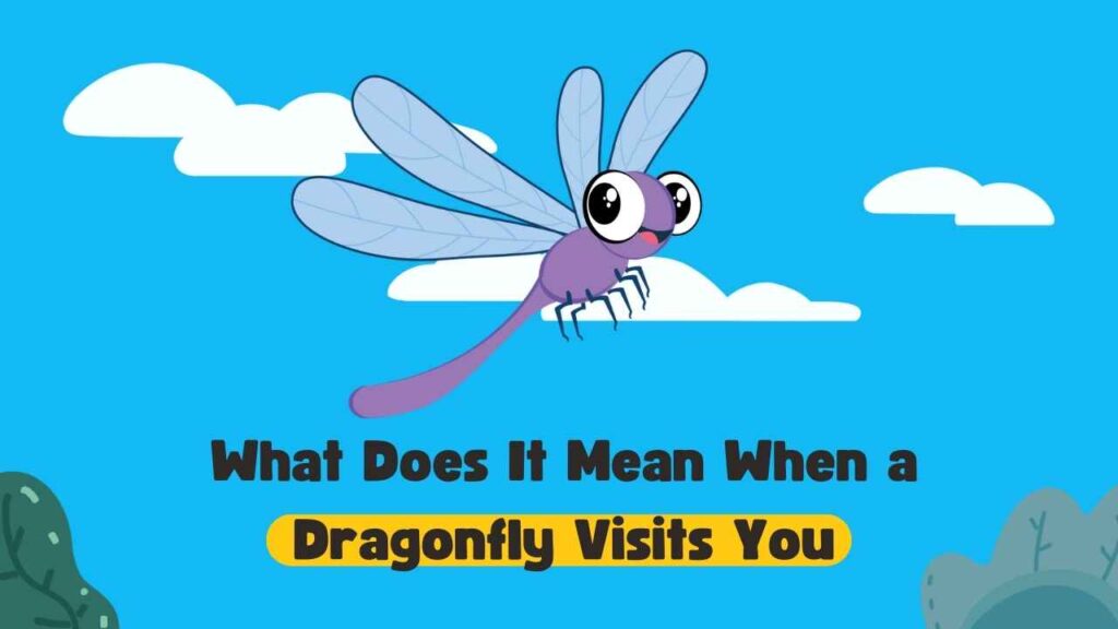 what does it mean when a dragonfly visits you