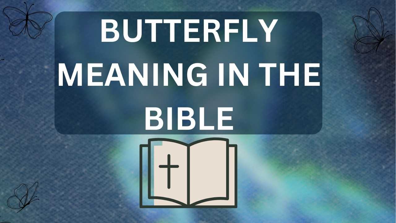 Butterfly Meaning in the Bible